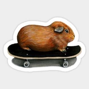 Chunky Guinea Pig Skateboard Sticker